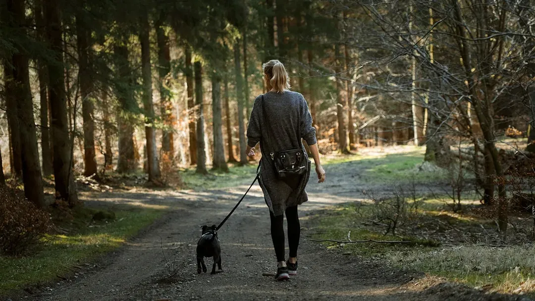 hiker with dog on a trail in a forest, enjoying the great outdoors