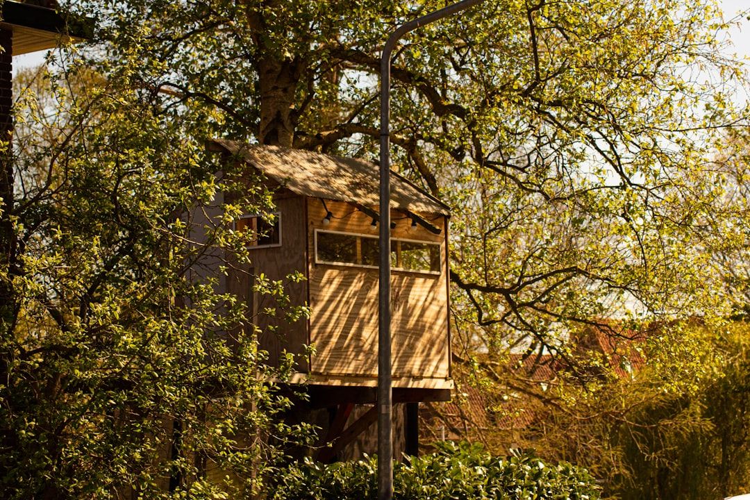 treehouse hotel exterior north sweden