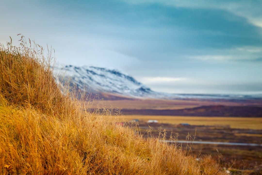 iceland winter landscape mountains wind