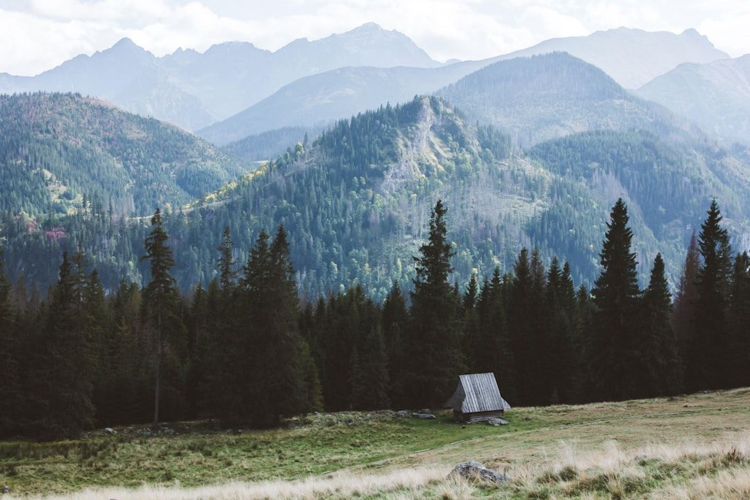glamping-types landscape
