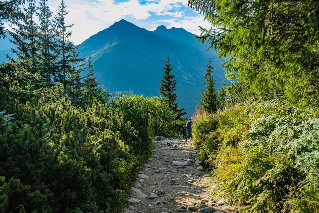 Hiking in the Swiss Alps