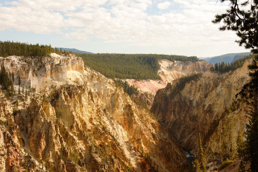 Pick your gate first in West Yellowstone